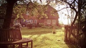 A grassy yard with a wooden bench and a bamboo fence. - Warft Simmerdeis 2 Comfortable Holiday Residence (Oldenswort)