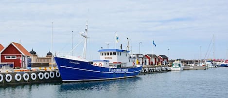 A harbor with a blue boat named 'FALSKÄR' docked at a pier, surrounded by small buildings and other boats.