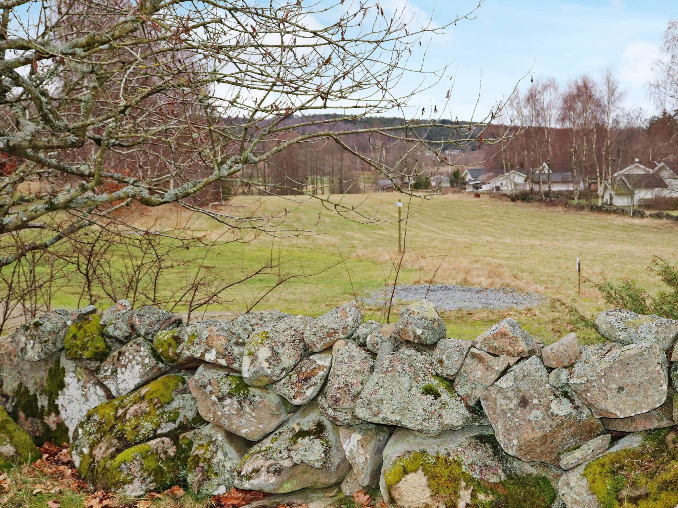 House | Property grounds