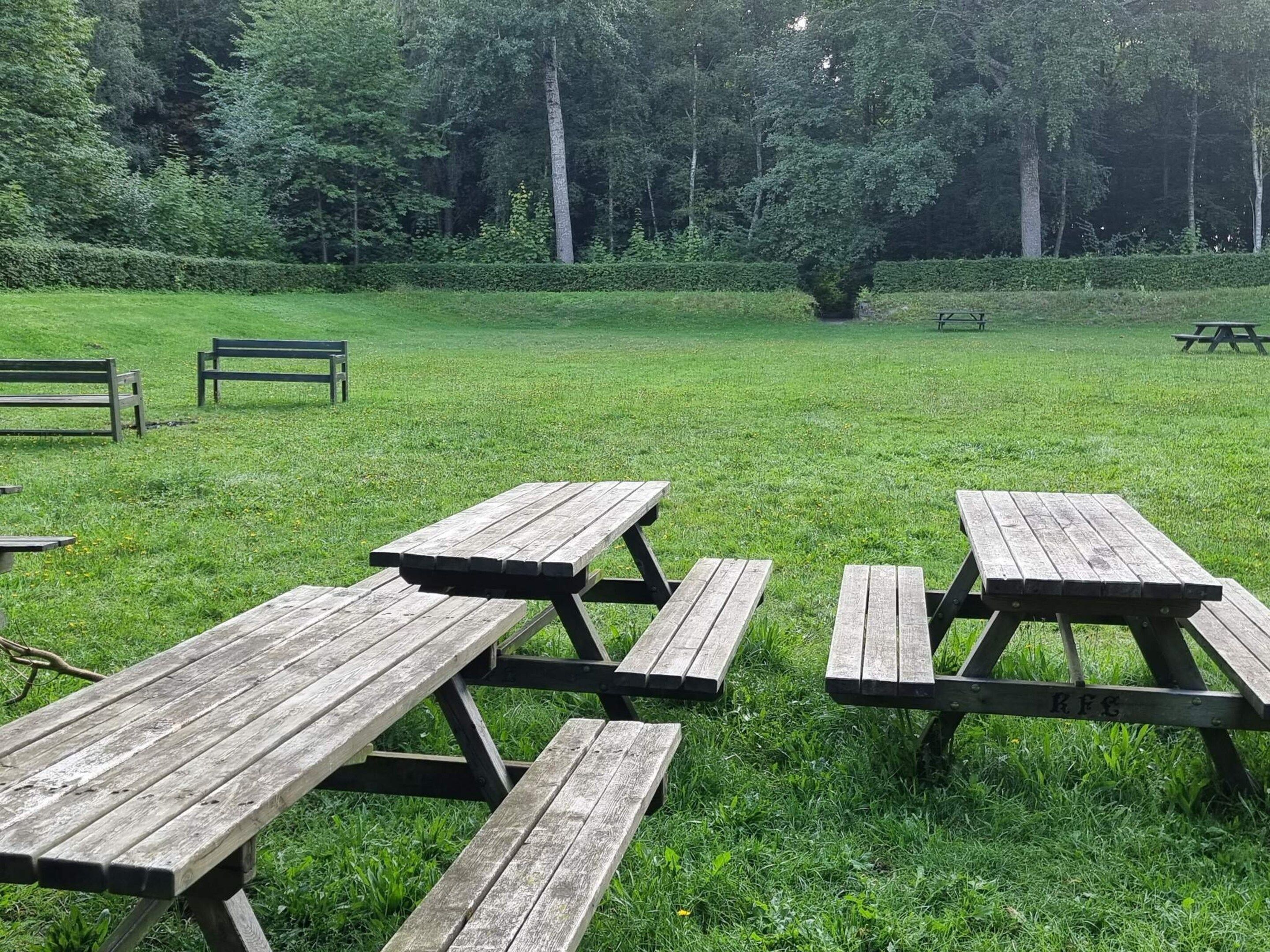 Een gazon met picknicktafels en banken.