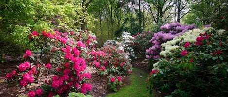 Áreas de la propiedad