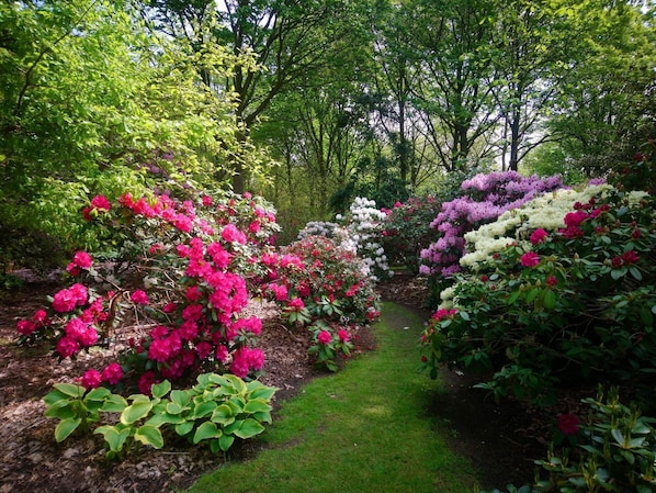 House | Property grounds