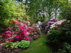 A garden with a variety of flowering shrubs and trees, a grassy path, and a wooden fence. - Luxury Spa Retreat in Lolland - By Traum Ferienwohnungen (Nakskov)