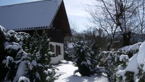 A snow-covered path leading to a wooden building with a sloped roof. - Holiday Home Chalet on the Castle Hill (Brotterode-Trusetal)