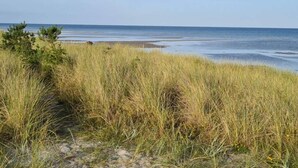 A coastal landscape with grassy dunes and a beach. - 6 Person Holiday Home in Hals (Hals)