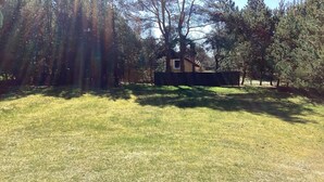 A grassy yard with a small building and trees. - 6 Person Holiday Home in Hals (Hals)
