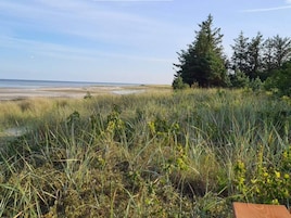 Un paisaje costero con altas hierbas y árboles, una playa al fondo y un banco de madera en primer plano.