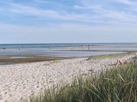 A beach with sand, water, and grass.