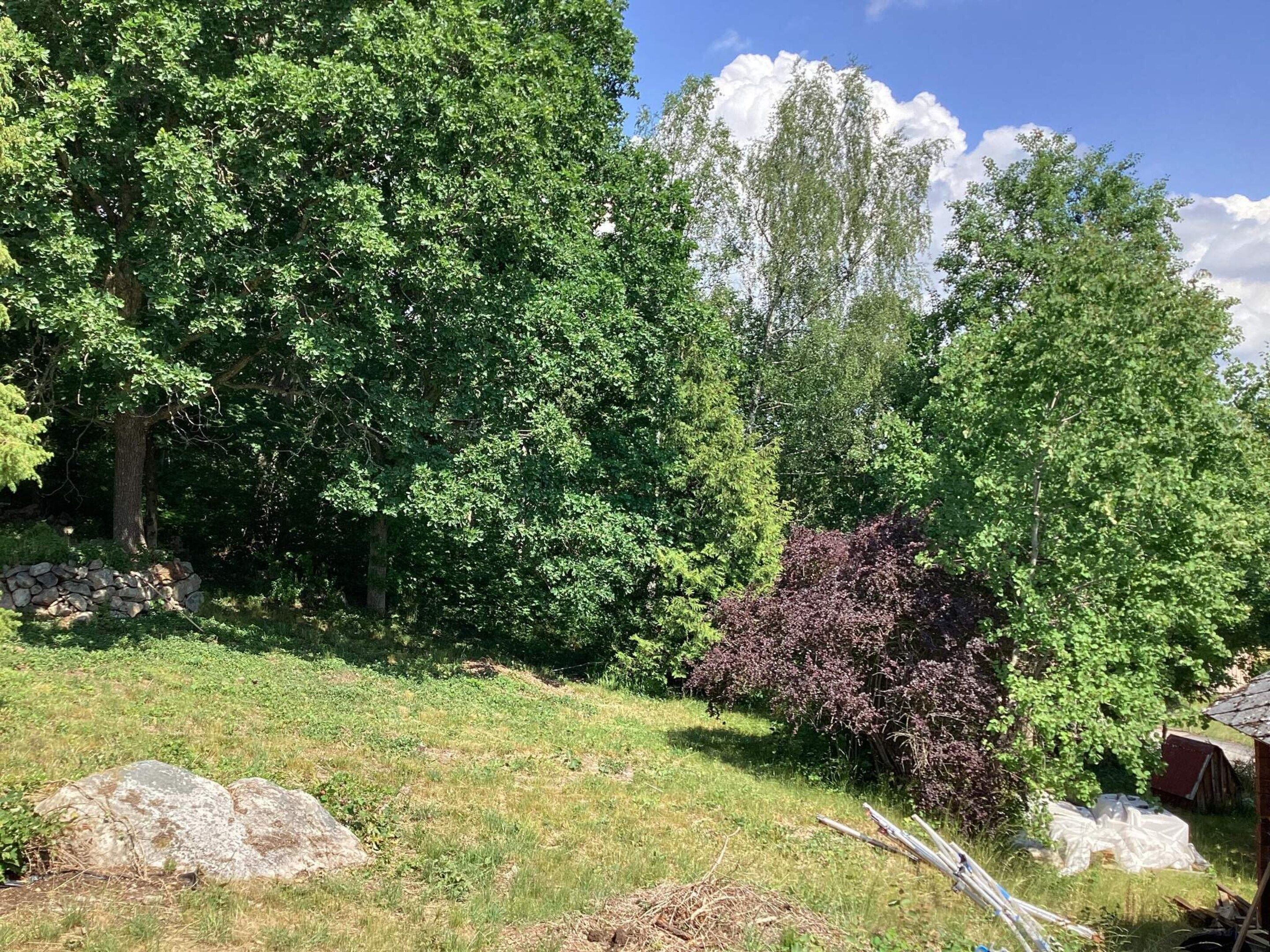 A natural landscape with trees, a stone wall, and a red structure.