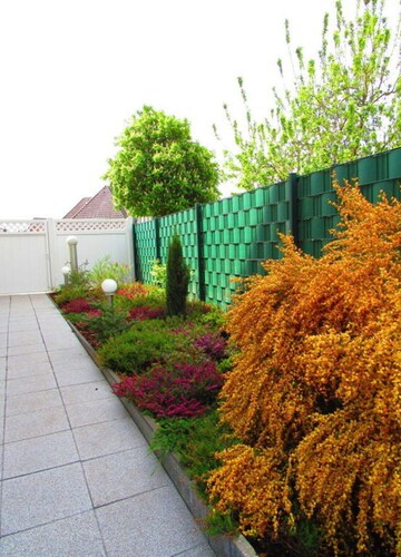 Charming Apartment in Haren