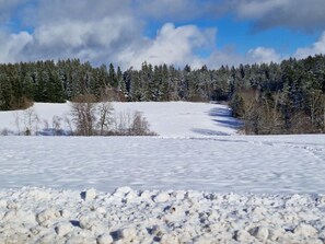 A snowy landscape with a clear sky and a forest in the background.