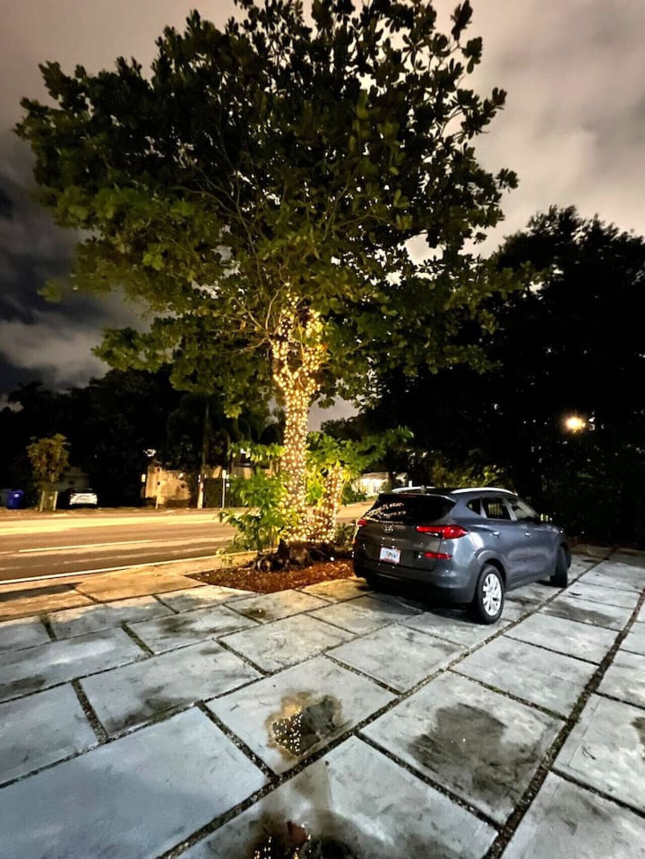 A car parked in a driveway with a tree and a street in the background.