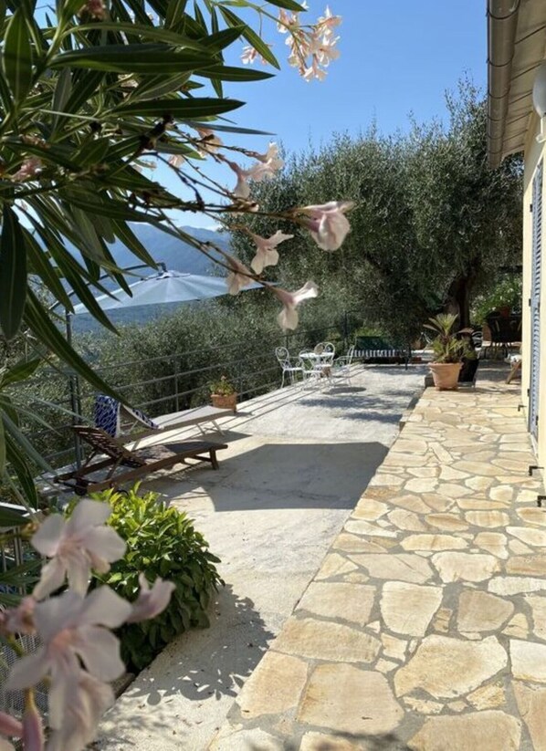 Exterior - Cosy Apartment in Dolcedo (Dolcedo)