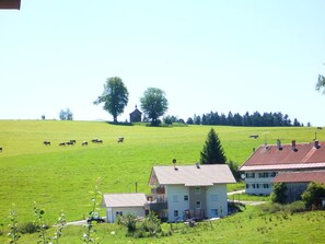 Ferienhaus | Badezimmer
