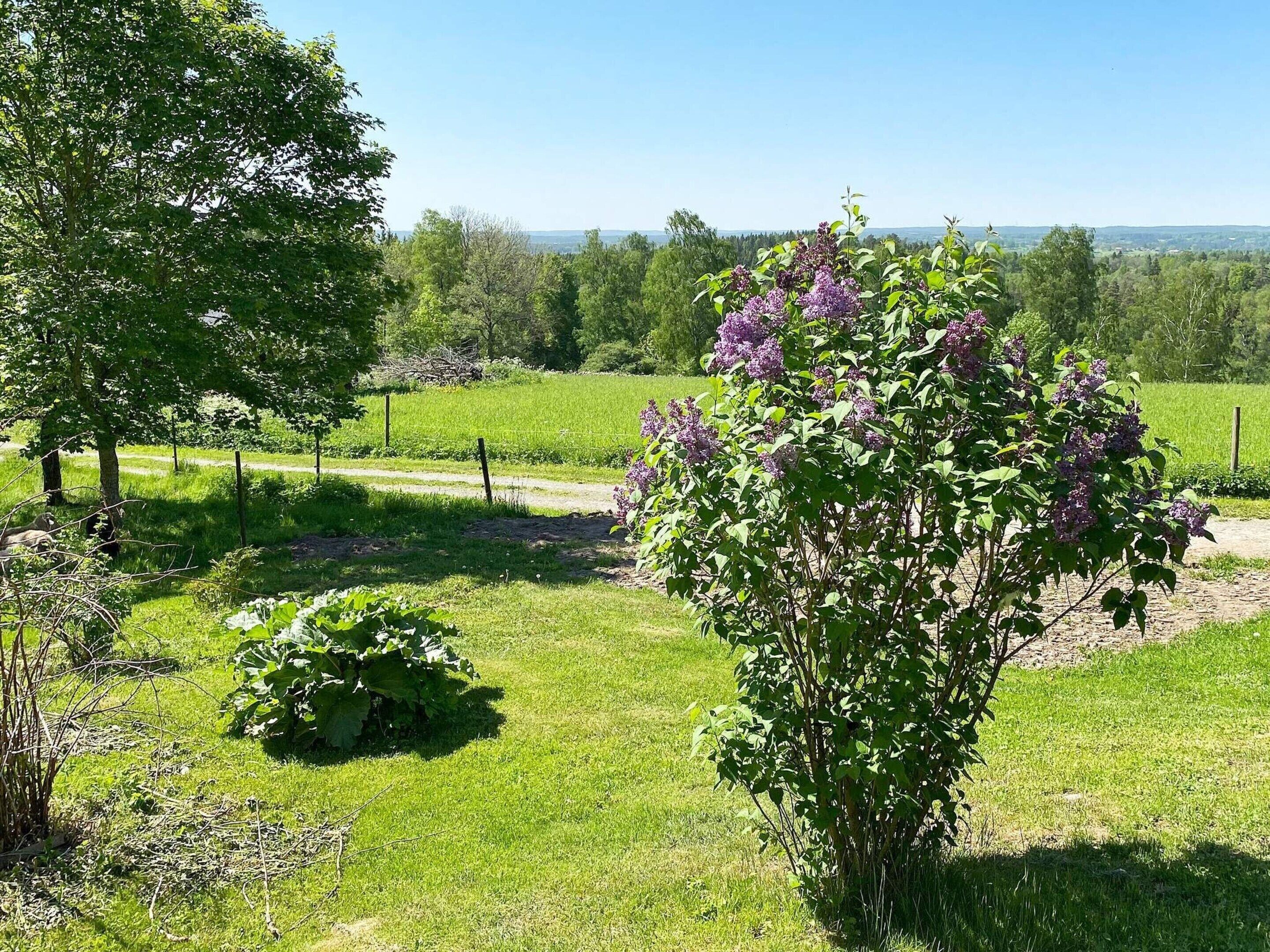 บ้านพัก | บริเวณภายนอก