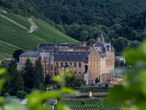 A large, historic building with multiple wings and a prominent tower, surrounded by lush green vineyards. - Sartoris Comfortable Holiday Residence (Bad Neuenahr-Ahrweiler)