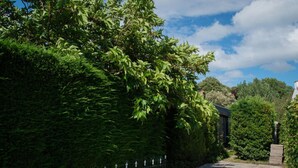 Un camí flanquejat per vegetació abundant i una tanca metàl·lica, que condueix a un edifici amb teulada fosca.