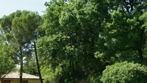 A building with a sloped roof and a small porch area. - Luxurious Bungalow in Garda With Swimming Pool (Garda)