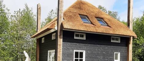 單棟房屋 | 外觀