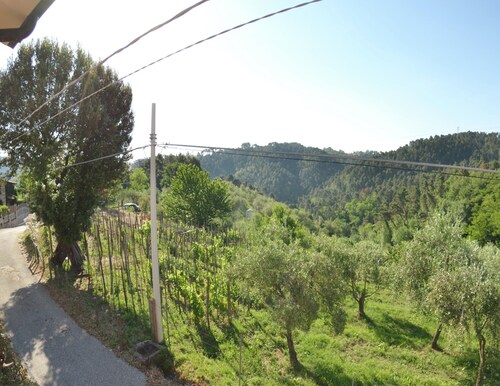 Farmhouse in Gualdo With Private Pool