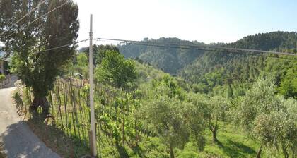 Farmhouse in Gualdo With Private Pool