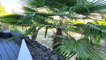 Apartment | Exterior