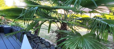 Appartamento | Esterni