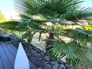 A palm tree in a garden area with a wooden deck and a stone wall. - Regal Apartment in Pracht With Garden and Grill (Pracht)