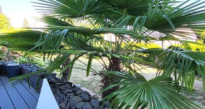 Regal Apartment in Pracht With Garden and Grill