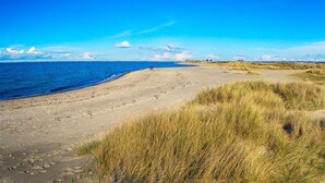 Une plage avec un ciel dégagé, un rivage sablonneux et des dunes herbeuses.