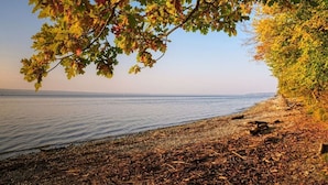 Vista de un lago con un árbol en primer plano y cielo despejado.