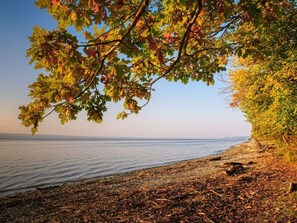 Beach - Reading Roof Cate Fuchsgraben (Steinbergkirche)