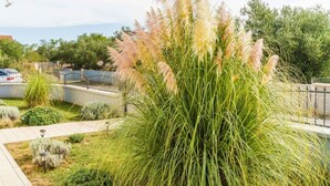 Un jardin avec de hautes herbes et un chemin pavé.