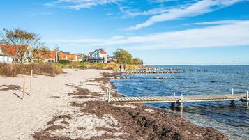 En strand med en træbro, der strækker sig ud i rolige vand, omgivet af sand og tang.