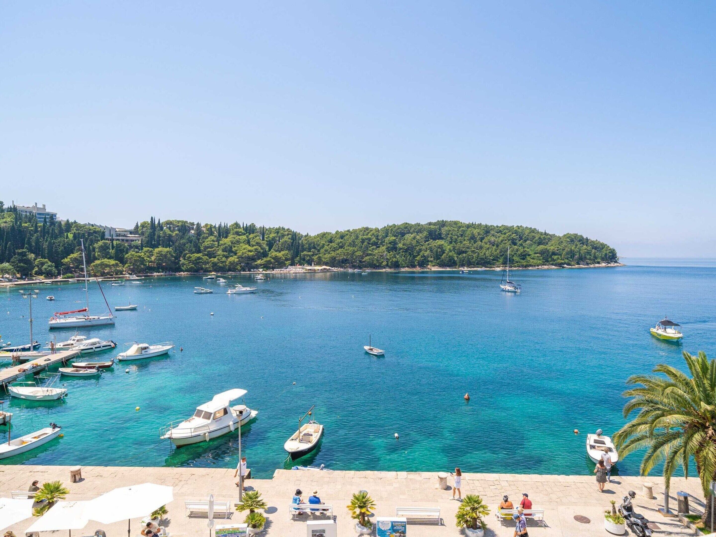 Apartment | View from property