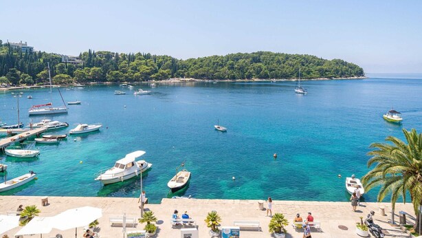 A marina with boats docked, a clear blue sea, and a tree-lined shore. - Apartments Villa Royale - One Bedroom Apartment With Sea View (Konavle)