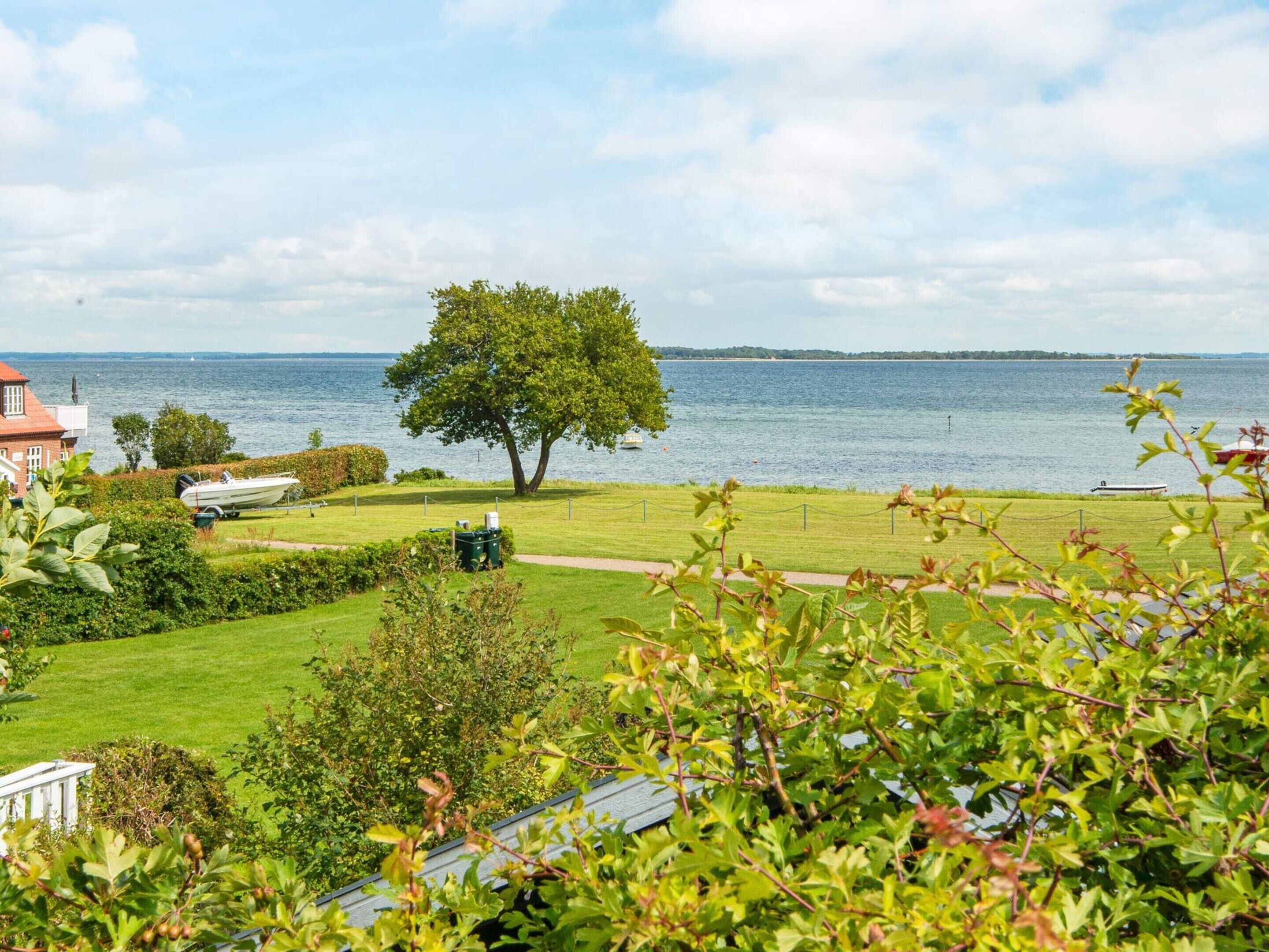 House | Property grounds