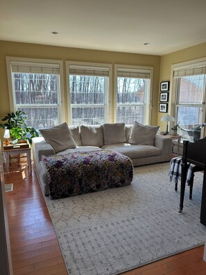 TV connectée, cheminée, livres