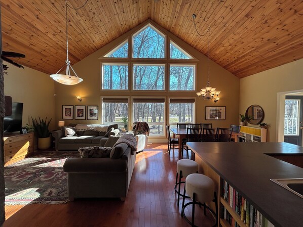 TV connectée, cheminée, livres