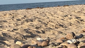 En stenet strand med store sten og et klart hav.