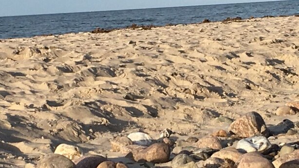 Ein felsiger Strand mit großen Steinen und freiem Blick auf den Ozean.