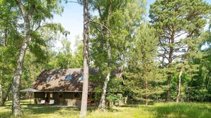 Eine rustikale Holzhütte mit geneigtem Dach, umgeben von hohen Bäumen und einer grünen Wiese.