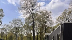 A pathway leading to a modern building with a dark exterior, surrounded by trees and grass. - Paviljoen 4 Personen (Zorgvlied)