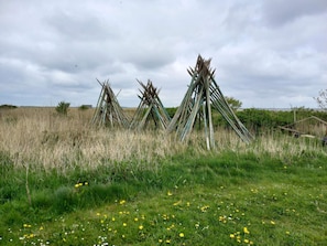 A field with a cluster of wooden structures.
