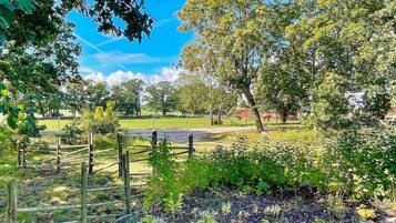 Ferienhaus | Außenbereich