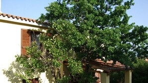 A building with a tiled roof, a pergola, and a tree in front. - Casa Felicita Comfortable Holiday Residence (San Teodoro)