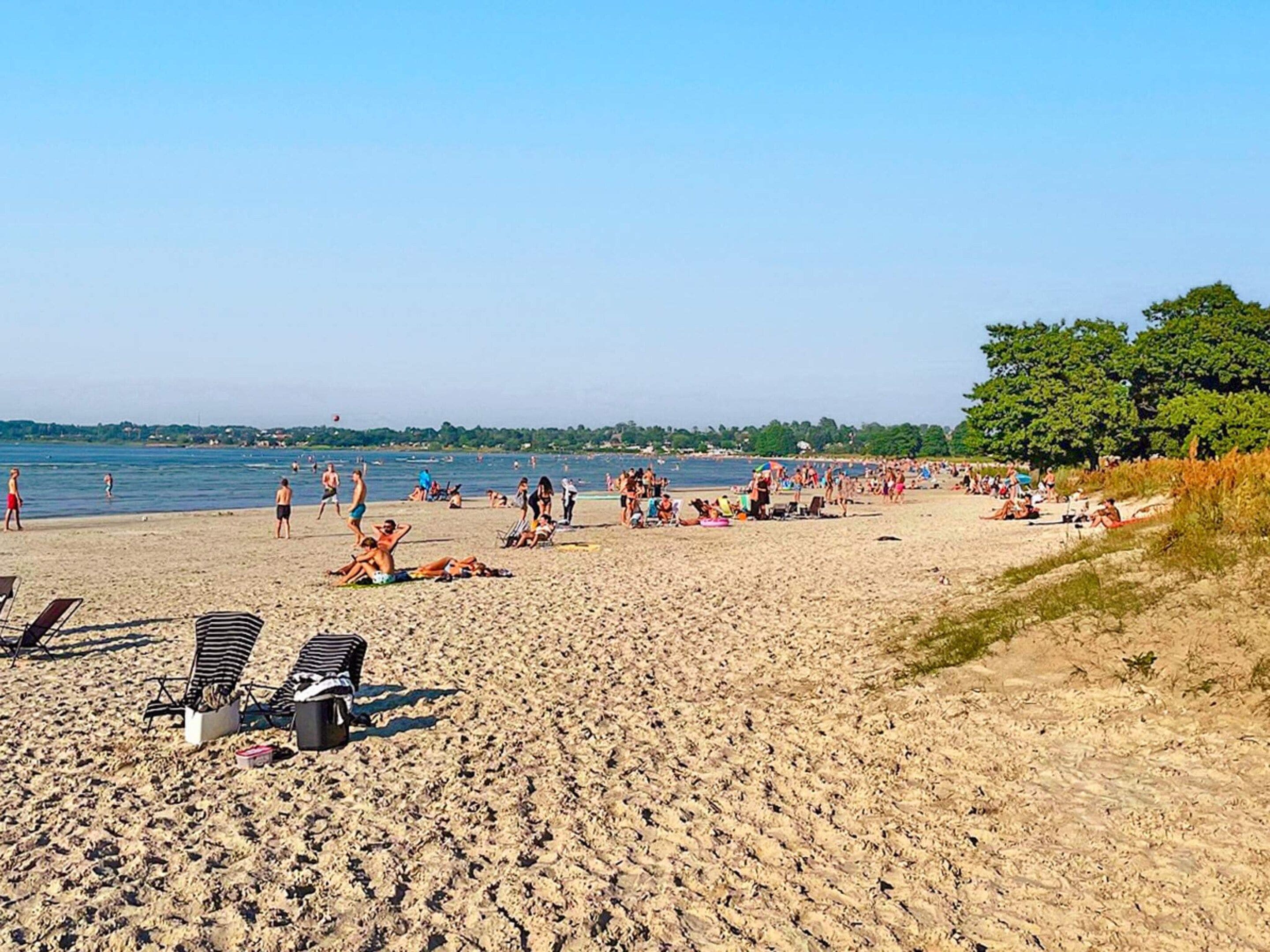 Una playa con tumbonas y gente relajándose.