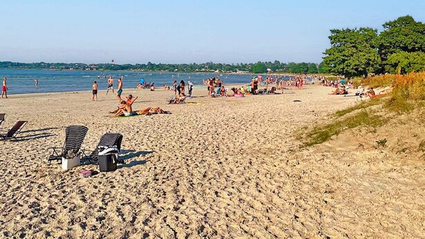 A beach with sun loungers and people relaxing. - 5 Star Holiday Home in Borgholm (Borgholm)