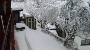 A snow-covered pathway leading to a house with a visible window and a fence. - Huis Becker-schmidt, St. Blasien (St. Blasien)