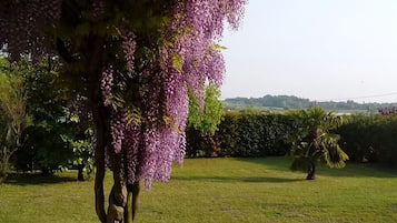 Ferienhaus | Garten